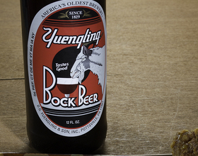 Thirsty Thursday: Yuengling Bock