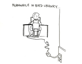 Bird Library