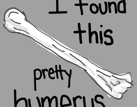 Humerus