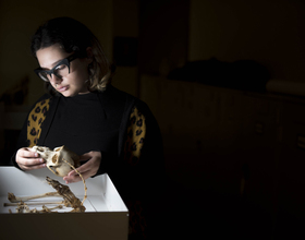 Bone to pick: Student works with 100-year-old samples from the Smithsonian