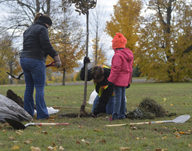 How planting one tree can turn into an environmental revolution