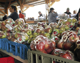 LaFayette Apple Festival showcased local produce and crafts