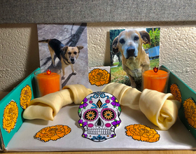 Students share the importance of celebrating dead loved ones for Día de los Muertos