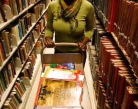 Tiered firing system shakes up Bird Library