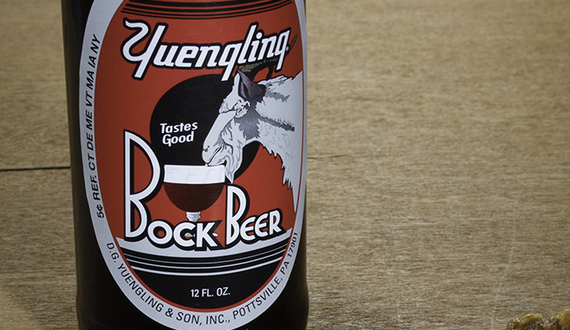 Thirsty Thursday: Yuengling Bock