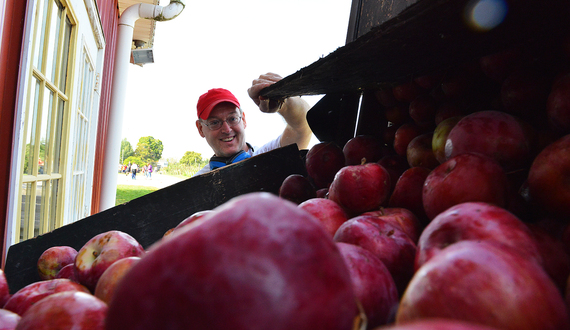 Gallery: Abbott Farms offers family friendly apple picking