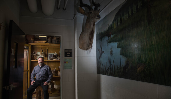 SUNY-ESF taxidermist cleans, prepares massive collection of specimens