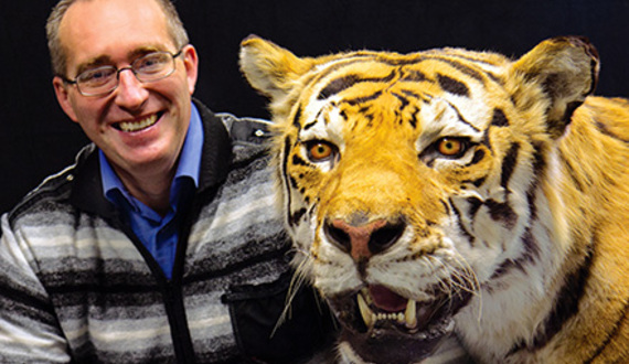 Study from SUNY-ESF researchers may give new hope to legacy of extinct tiger species