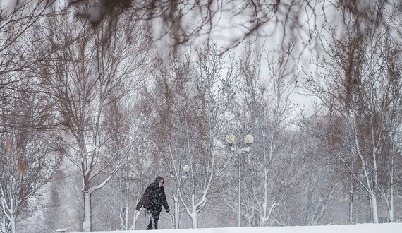 After 85 years, sledding is legal in this Syracuse park