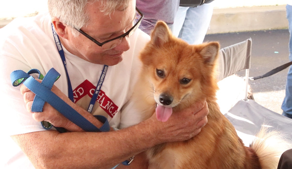 Video: Pet adoption in Manlius, NY gives animals new homes