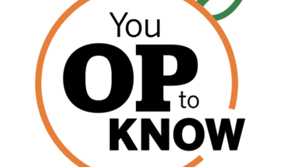 You Op to Know: Political Round Table Edition — New York state mid-term elections