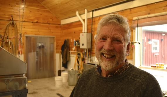 Farm celebration taps into maple syrup-making process