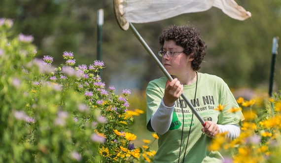 Amid declining bee population, community efforts attempt to save environment