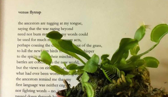 SU alumna opens poetry art business to support grad studies