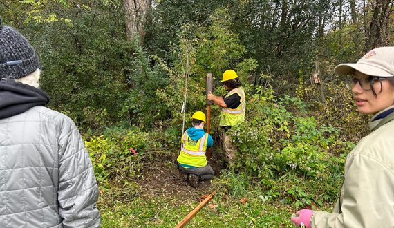 Syracuse Urban Food Forest Project plants 180 trees to expand edible urban landscapes