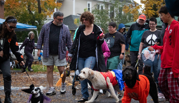 Halloween dog parade helps keep Westcott weird