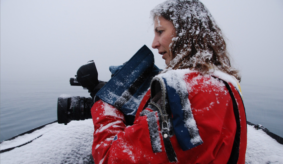 Janet Bigg’s newest exhibit takes viewers on an Arctic expedition