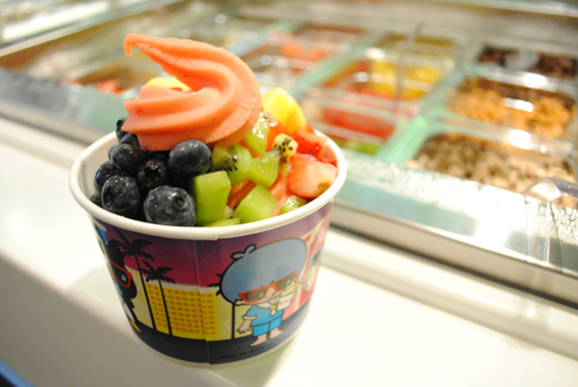 Frozen fantasy: Wide flavor variety, reasonable prices add to Yogurtland&#8217;s charm