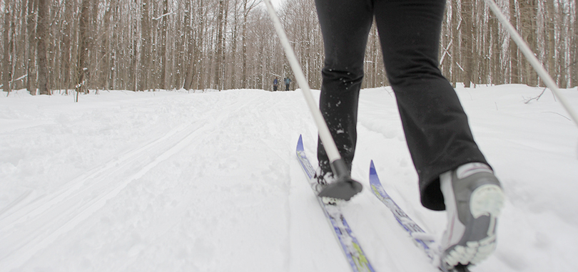 Take me out: SUOC members embrace cold weather and adventure with cross country skiing outing