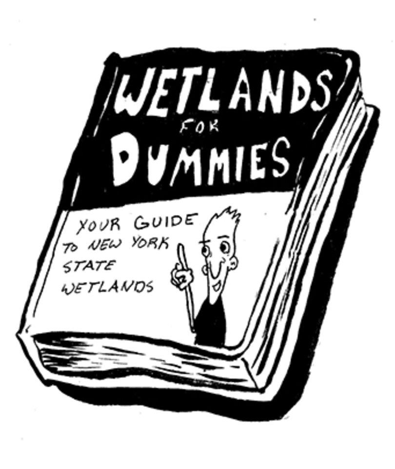 Watching the wetlands: SUNY-ESF receives $500,000 grant toward development of field manual