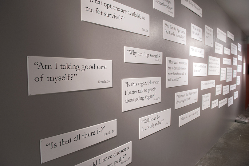 That is the question: Graduate students put together exhibit exploring power of learning through questioning