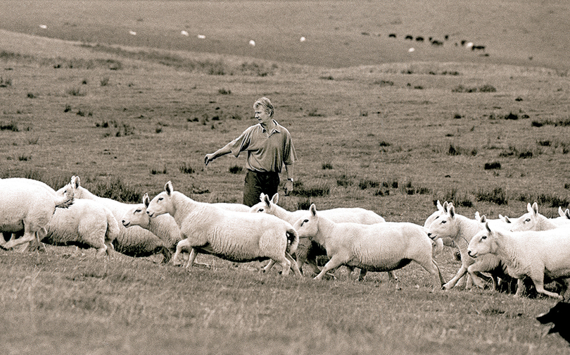 Professor showcases Lockerbie photo exhibit