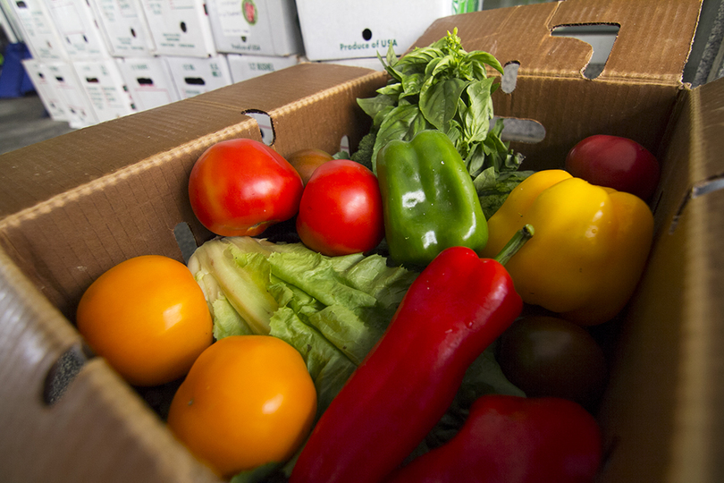 Brainfeeders delivers locally grown fruits and vegetables to students