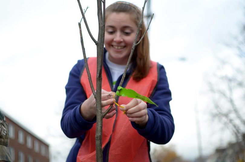 Volunteers plant trees around university neighborhood