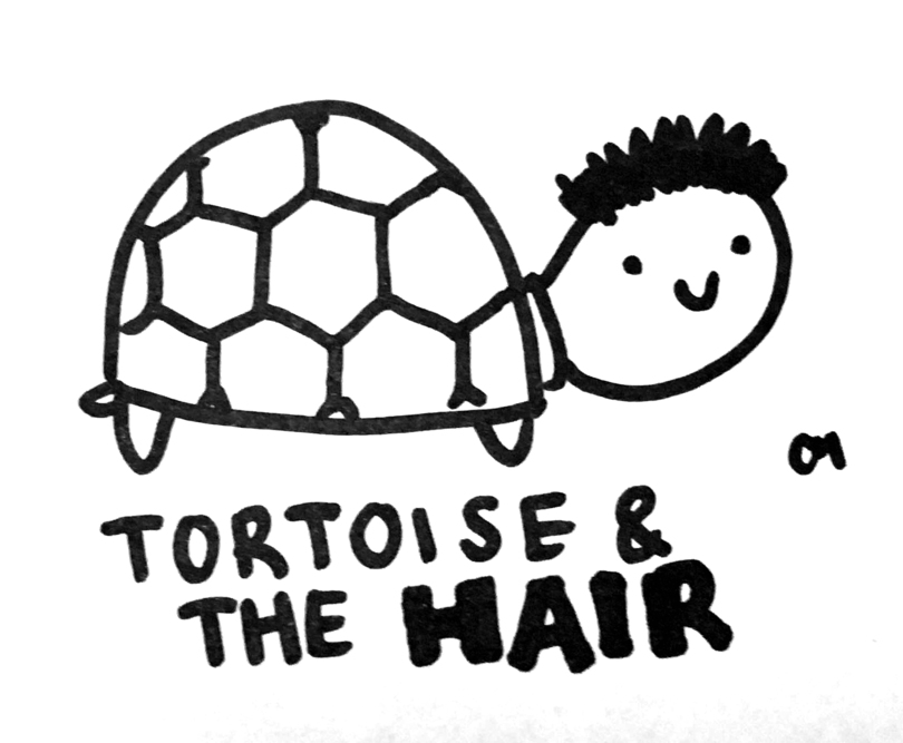 Tortoise