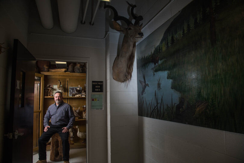 SUNY-ESF taxidermist cleans, prepares massive collection of specimens