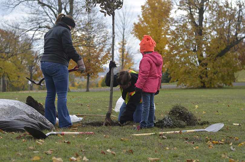 How planting one tree can turn into an environmental revolution