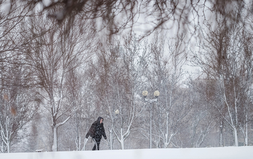 After 85 years, sledding is legal in this Syracuse park