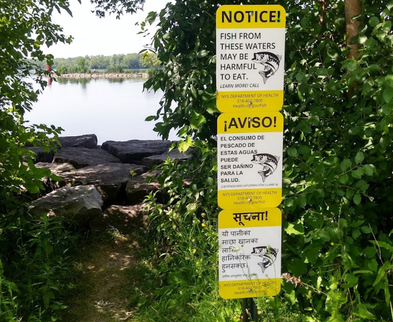 Teach your neighbor to fish — just not in Onondaga Lake