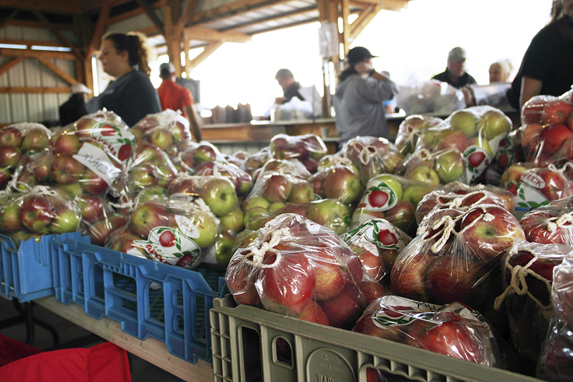 LaFayette Apple Festival showcased local produce and crafts