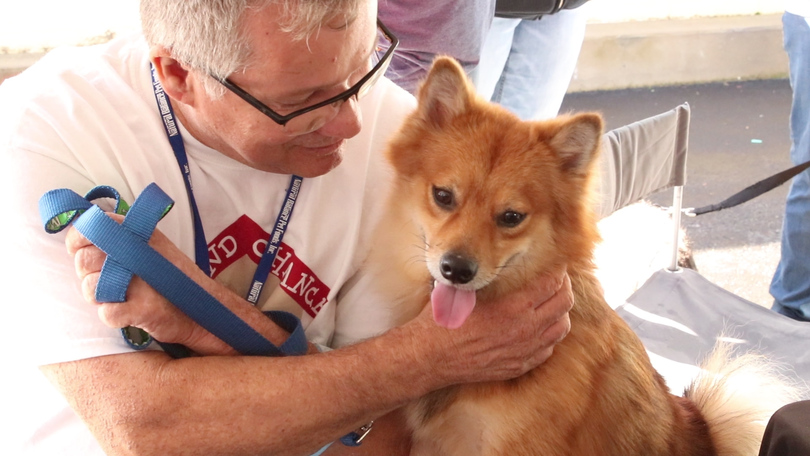 Video: Pet adoption in Manlius, NY gives animals new homes