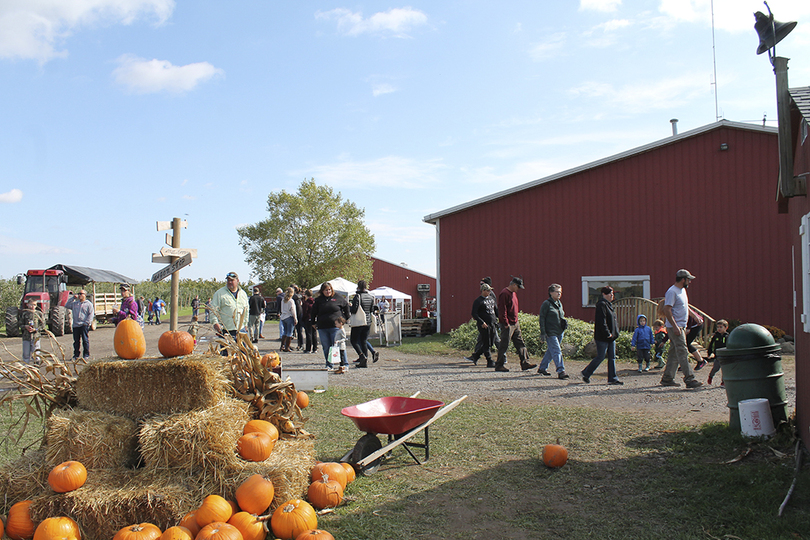 Check out these apple orchards, pumpkin fields before snow comes