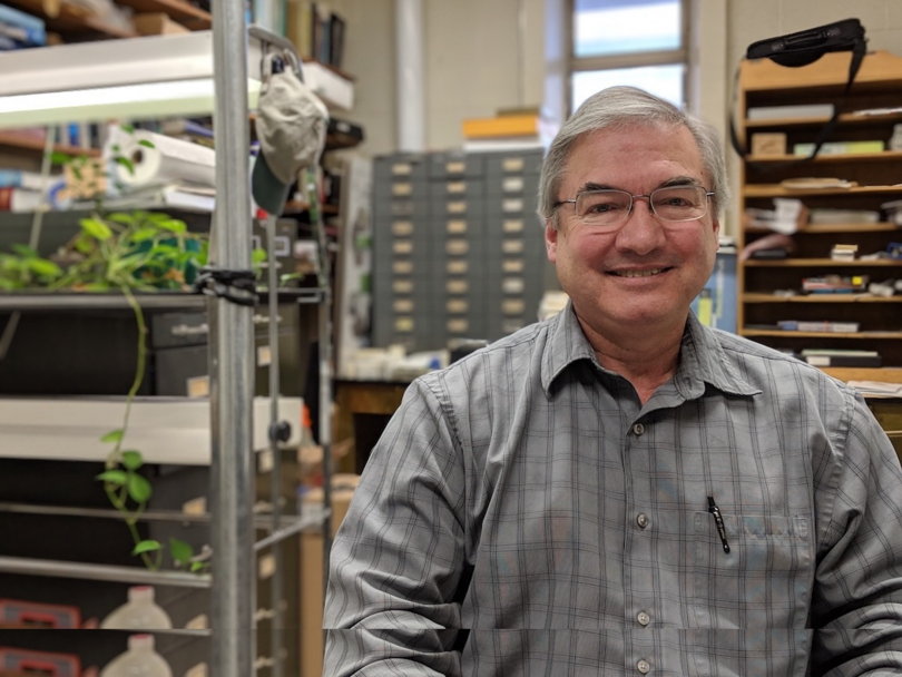 Professor works to revitalize near-extinct American chestnut trees