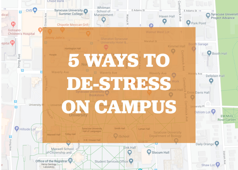 5 ways to de-stress this finals season