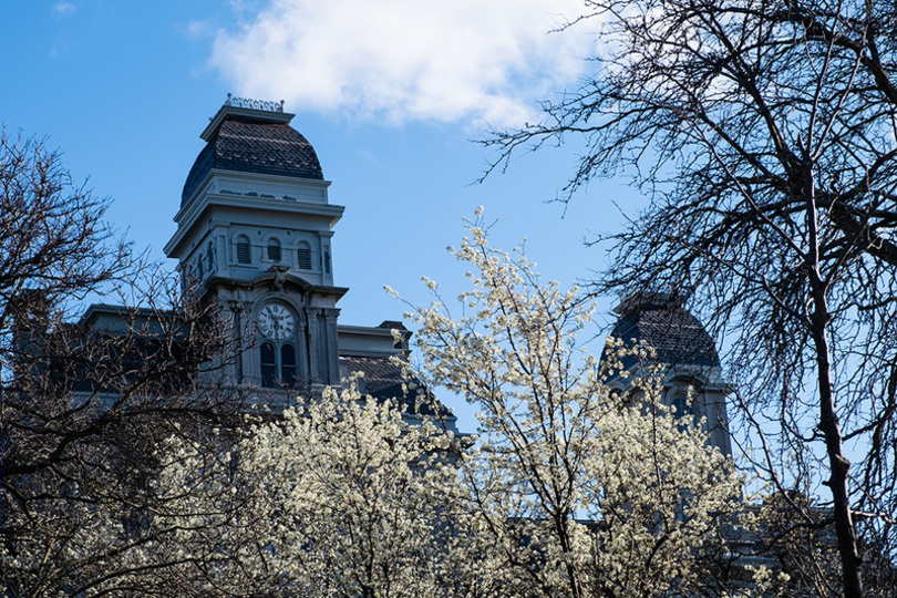 Professors collaborate on environment and energy projects across state