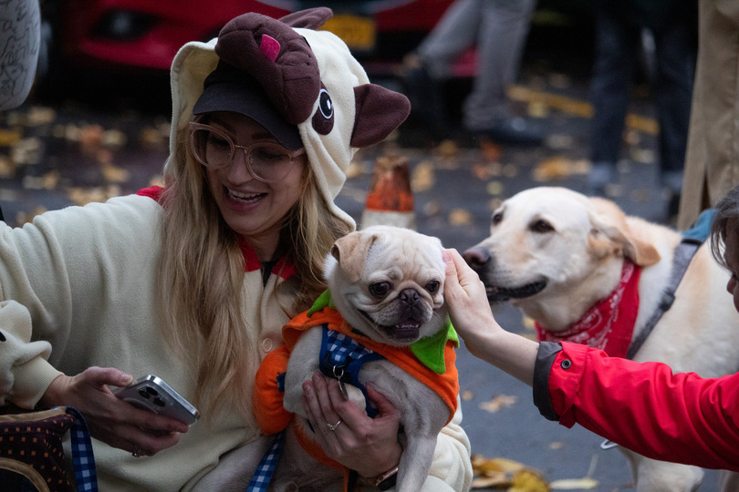 Gallery: Pawsitively perfect scenes from Westcott’s second annual Halloween Dog Parade