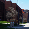 SU to remain test-optional for fall 2025, spring 2026 admission cycles