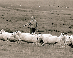 Professor showcases Lockerbie photo exhibit