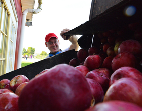 Gallery: Abbott Farms offers family friendly apple picking