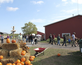 Check out these apple orchards, pumpkin fields before snow comes