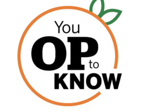 You Op to Know: Political Round Table Edition — New York state mid-term elections