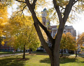 Board of Trustees creates diversity and inclusion advisory committee