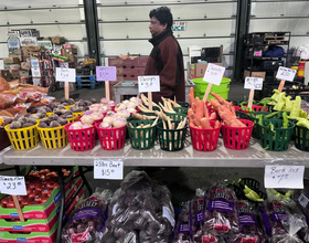 Central New York Regional Market offers fresh goods, no matter the season