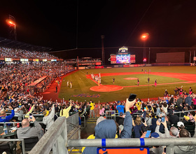 Baseball fans unite for Savannah Bananas game at NBT Bank Stadium