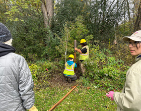 Syracuse Urban Food Forest Project plants 180 trees to expand edible urban landscapes