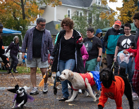 Halloween dog parade helps keep Westcott weird